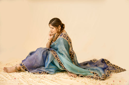 Blue Saree